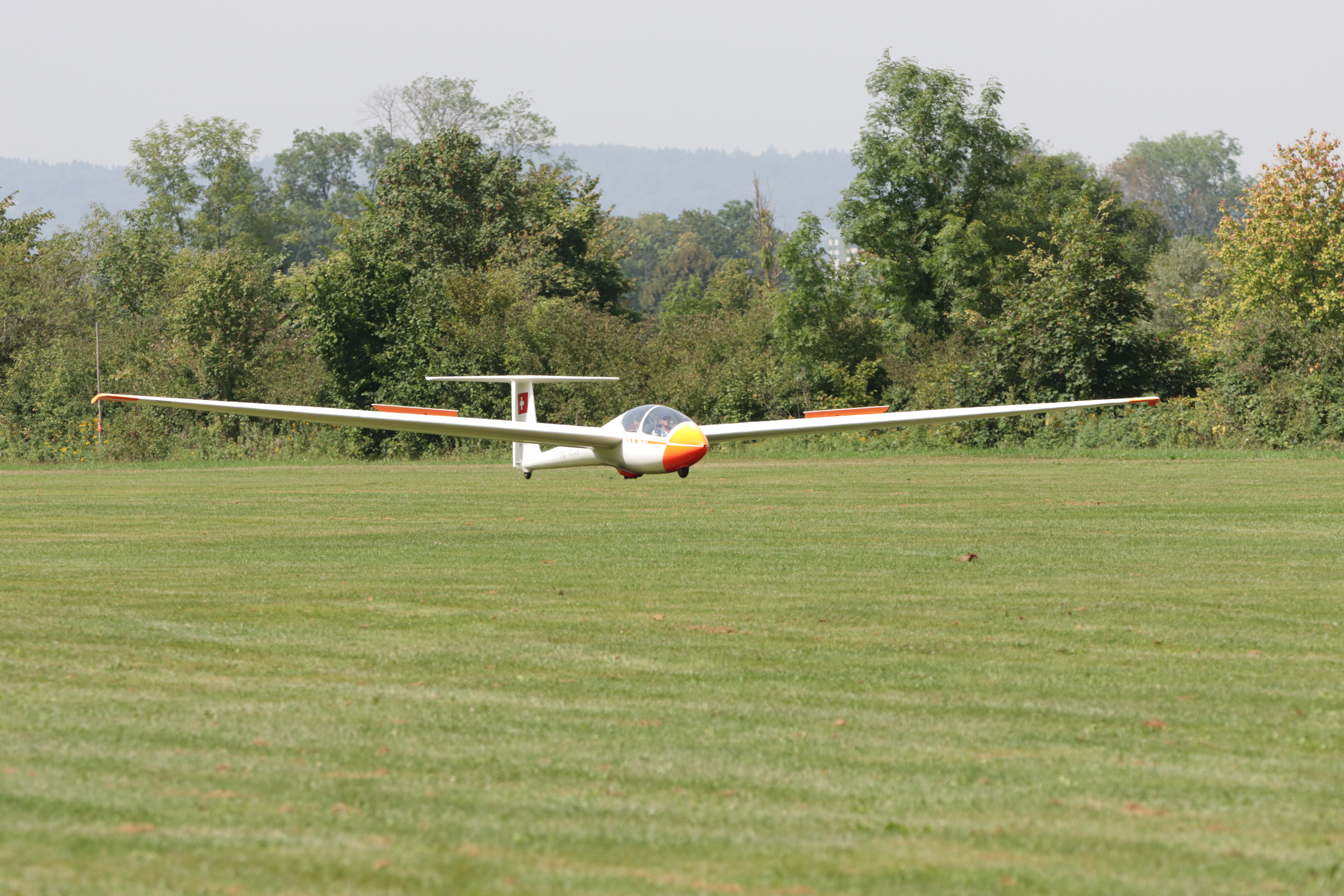 Image 12